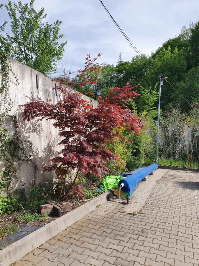Pensiunea Roua Muntelui Brăzeşti Exterior foto
